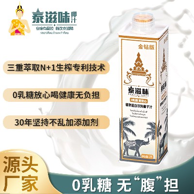 1L泰式鲜榨椰子汁泰国风味网红大瓶饮料整箱植物蛋白饮料代理合作